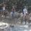 Aventura en la Cascada Nauyaca