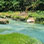 Caminata al Río Celeste & al Parque Nacional Tenorio