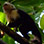 Caminata en el Parque Nacional Cahuita