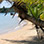 Caminata en el Parque Nacional Cahuita