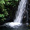 Caminata hacia la Cascada en Finca Modelo por el Bosque Nuboso de Costa Rica