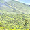 Caminata por el Sendero Arenal 1968 Volcán Arenal + Aguas Termales (Opcional)