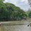 Caño Negro en Canoa