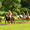 Excursión de Tirolesa + Paseo en Caballo + Caminata a la Cascada en Jaco