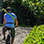 El Castillo Excursión en Bicicleta por Arenal