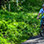 El Castillo Excursión en Bicicleta por Arenal