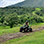 Excursión Todo Terreno Descubriendo Arenal por 3 Horas