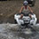 Excursión de ATV en la Playa Avellanas