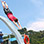 Excursión de Snorkel en Catamarán por Manuel Antonio