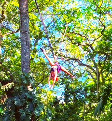 Excursión de Tirolesa por el Sendero Congo en Guanacaste