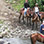 Excursión Combinada de Tirolesa en Sarapiquí + Paseo en Caballo