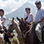 Excursión Combinada de Tirolesa en Sarapiquí + Paseo en Caballo