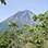 Excursión de un Día al Volcán Arenal + Aguas Termales