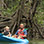 Excursión en Kayak por los Manglares en Isla Damas