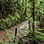 Excursión en Teleférico, Tirolesa Sky Trek & Puentes Colgantes en Monteverde
