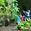 Excursión en las Cavernas Venado La Fortuna