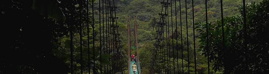formal Circular Alaska Excursion por los Puentes Colgantes en el Bosque Nuboso de Monteverde |  Excursiones en Costa Rica con Descuento
