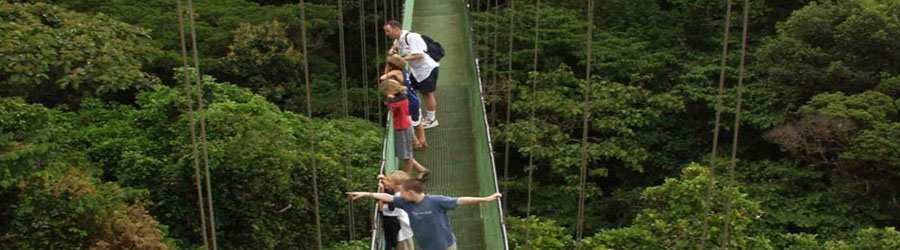 Excursion por los Puentes Colgantes en el Bosque Nuboso de Monteverde | Excursiones Costa Rica con Descuento