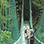 Excursión por los Puentes Colgantes de Monteverde