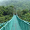 Experiencia en el Bosque Nuboso de Monteverde