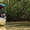 Paseo en Barco por los Manglares en Isla Damas