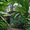 Jardín de Mariposas en el Eco Centro Danaus