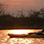 Kayak Nocturno por los Manglares de Isla Damas