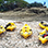 Kayak en la Isla Capitán & Snorkel en Tamarindo