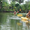 Kayak en los Manglares de Playa Guapil