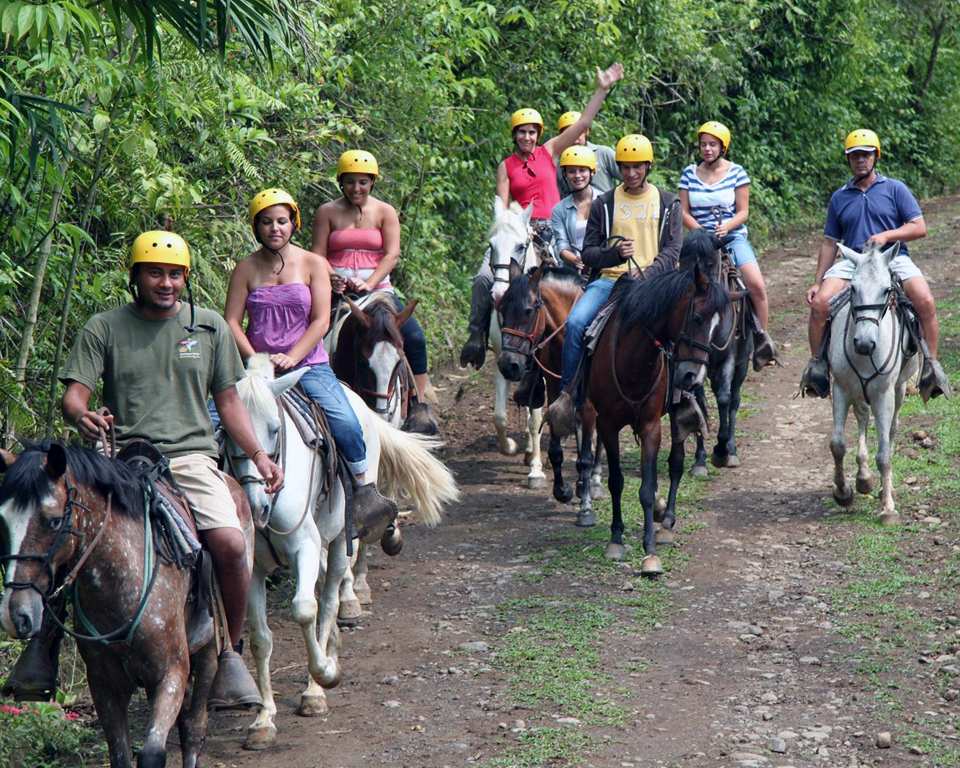 Paseos en Caballo