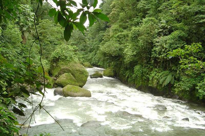 Excursiones Ecológicas