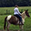 Paseo en Caballo Pura Aventura al Atardecer