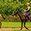 Paseo en Caballo Vista Los Sueños en Jaco