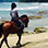 Paseo en Caballo de Luna de Miel en Puerto Viejo