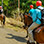 Paseo en Caballo en el Golfo de Papagayo