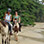 Paseo en Caballo en la Playa Punta Uva