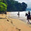 Paseo en Caballo en la Playa Punta Uva