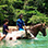 Paseo en Caballo en la Playa Punta Uva