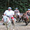 Paseo en Caballo hacia las Cascadas Tocori & Rancho Don Gilberto