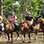 Paseo en Caballo hacia las Cascadas Tocori & Rancho Don Gilberto