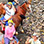 Paseo en Caballo por el Sendero Congo en Guanacaste