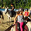 Paseo en Caballo por la Playa en Puerto Viejo