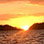 Paseo en Catamarán al Atardecer Flamingo