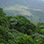 Puentes Colgantes Heliconias & Caminata en el Bosque