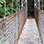 Puentes Colgantes Heliconias & Caminata en el Bosque