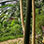 Puentes Colgantes del Bosque Nuboso de Monteverde, Santuario de Perezosos & Casa de Reptiles