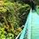Puentes Colgantes del Bosque Nuboso de Monteverde, Santuario de Perezosos & Casa de Reptiles