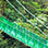 Puentes Colgantes del Bosque Nuboso de Monteverde, Santuario de Perezosos & Jardín de Mariposas