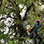 Puentes Colgantes del Bosque Nuboso de Monteverde, Santuario de Perezosos & Jardín de Mariposas