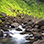 Puentes Colgantes en Arenal + Caminata a la Cascada La Fortuna
